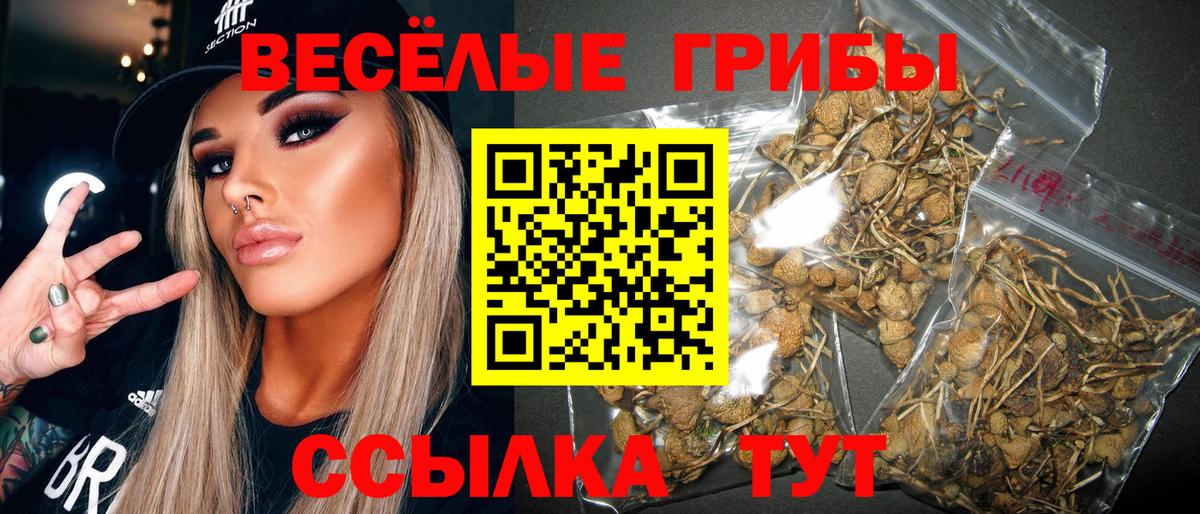 Псилоцибиновые грибы прущие грибы Клинцы