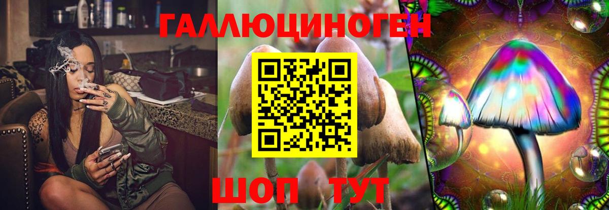Клинцы  продажа наркотиков  Галлюциногенные грибы MAGIC MUSHROOMS  Вход с VPN  Псилоцибиновые грибы Psilocybine cubensis 