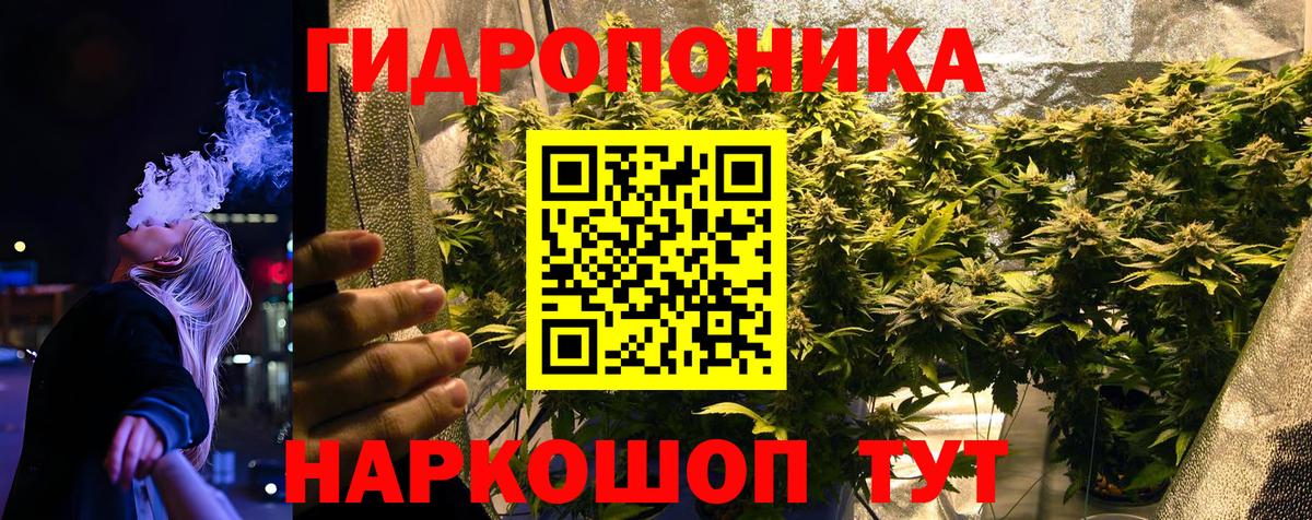 Марихуана индика  Канабис Amnesia  Бошки марихуана Amnesia  Клинцы  Вход с VPN  Бошки марихуана Amnesia 